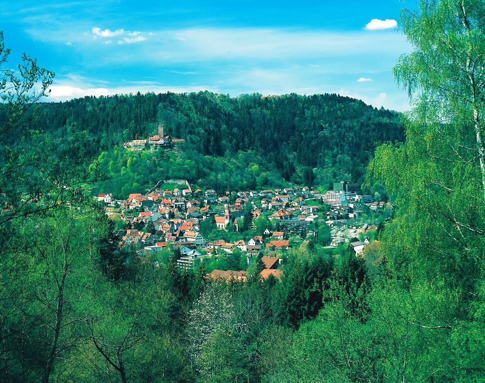 Hotel Hochwald Bad Liebenzell Δωμάτιο φωτογραφία